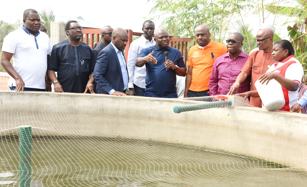 Photo of AMBODE MULLS UPGRADE OF BADAGRY DEMONSTRATION FARM