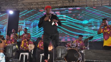 Photo of ‘ONE LAGOS FIESTA’ (OLF), EPE