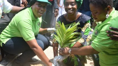 Photo of GOVERNOR SANWO-OLU ATTENDS 2019 TREE PLANTING SENSITIZATION CAMPAIGN AT BISOLA DUROSINMI-ETTI, OFF ADMIRALTY WAY, LEKKI ON SUNDAY, JULY 14, 2019